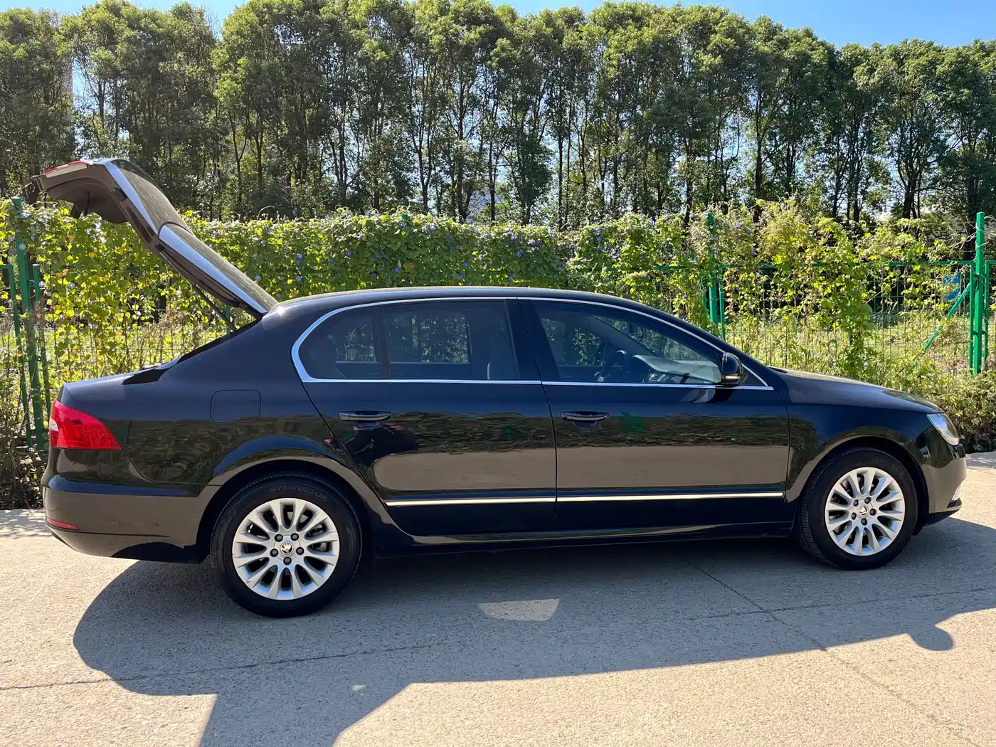 Škoda Superb 2013 1.8TSI Automatic Elite Edition фото 8