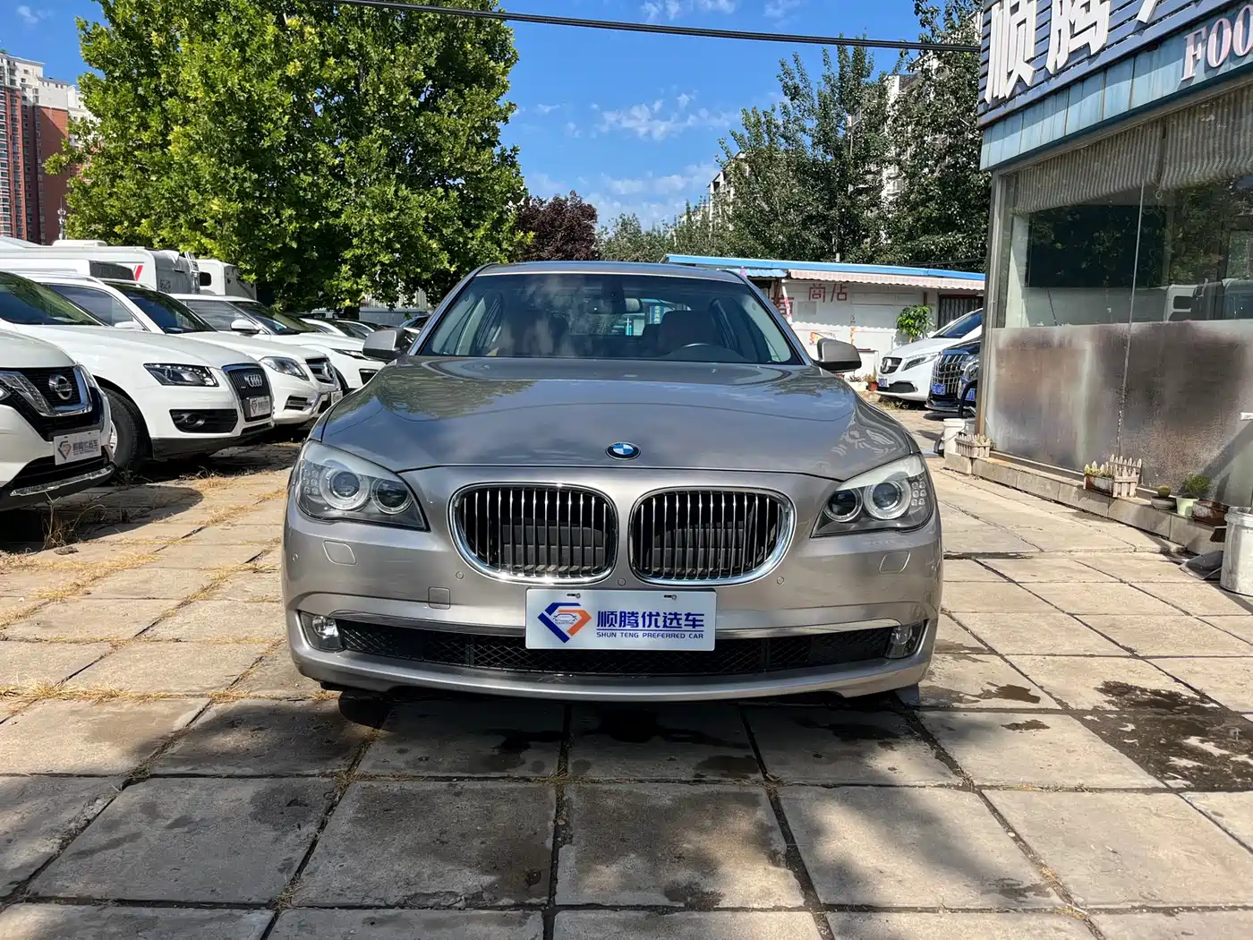 BMW 7 Series 2009 730Li Leading фото 2