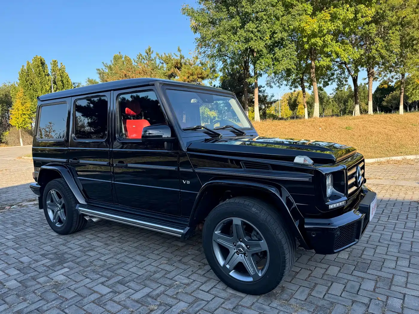 Mercedes-Benz G-Class 2016 G 500 фото 2
