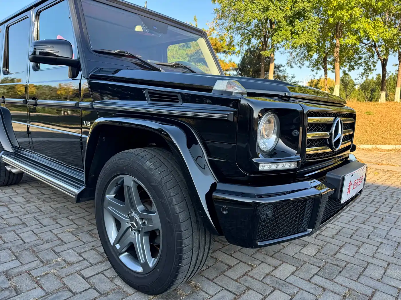 Mercedes-Benz G-Class 2016 G 500 фото 3