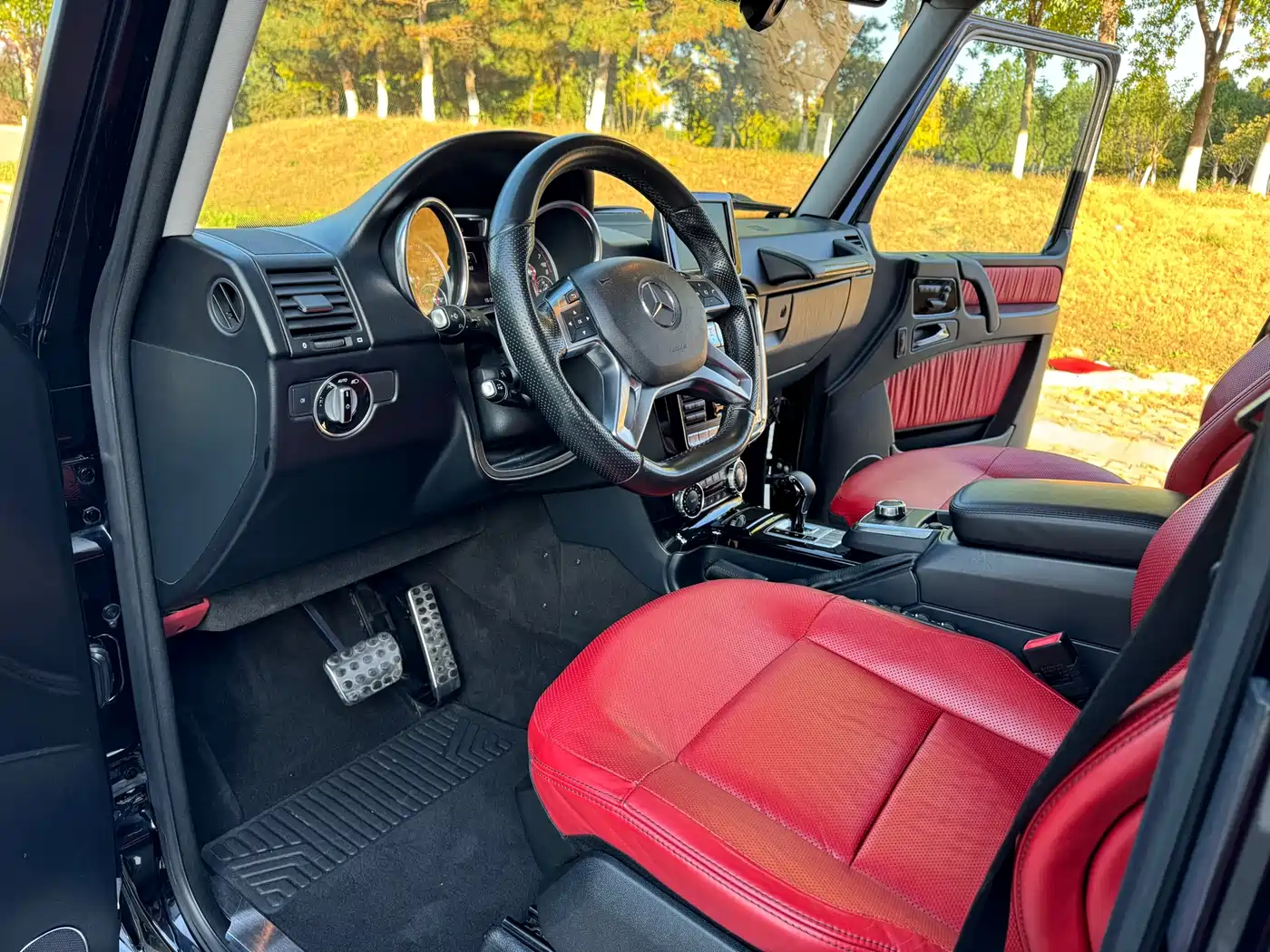 Mercedes-Benz G-Class 2016 G 500 фото 11