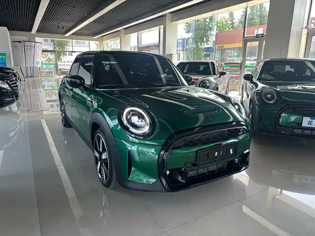 mini 