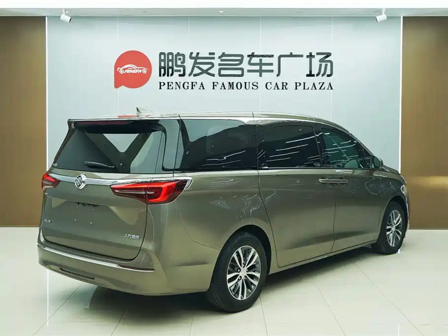 Buick GL8 2021 ES Landlord 653T Premium фото 19