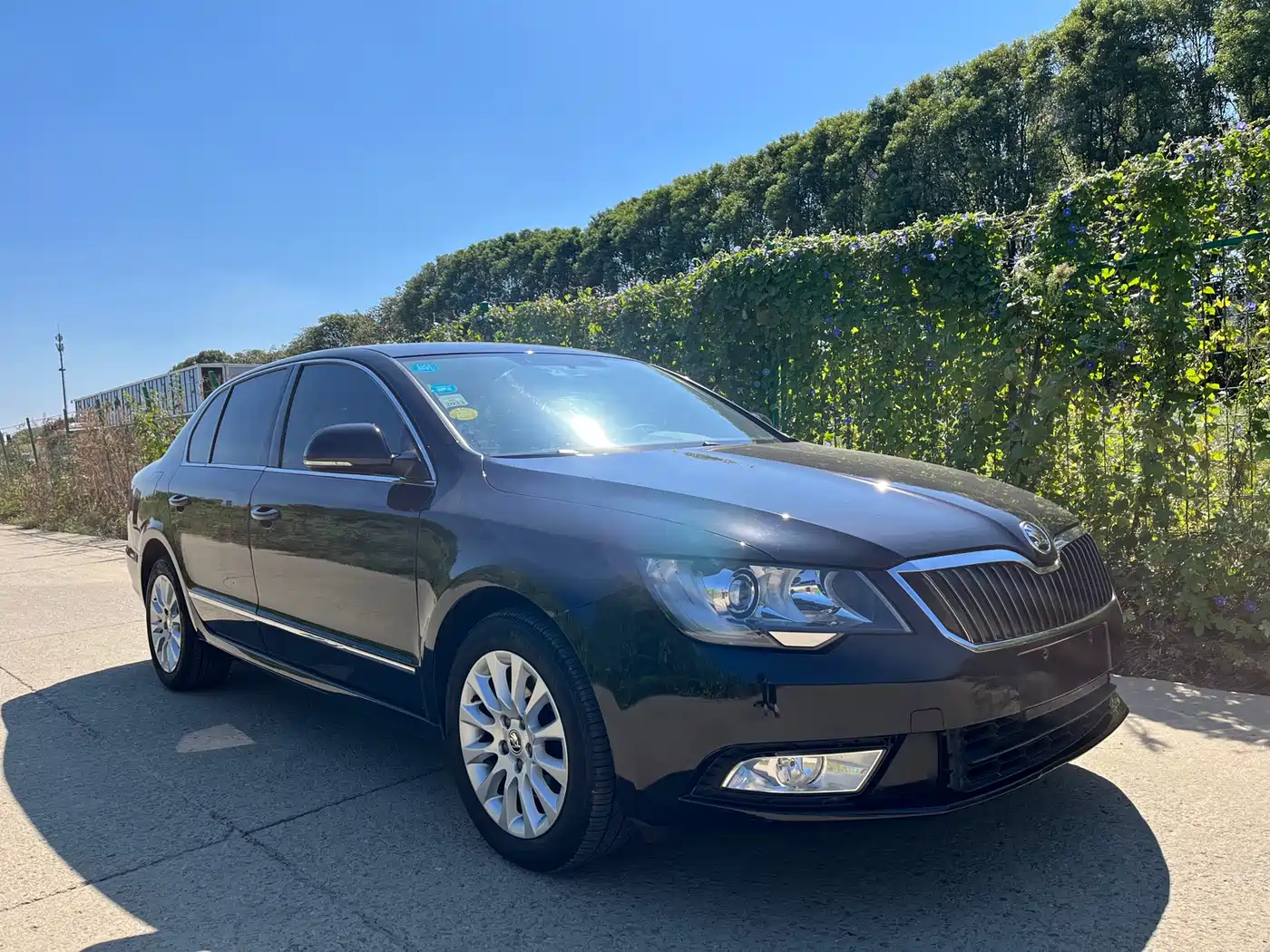 Škoda Superb 2013 1.8TSI Automatic Elite Edition фото 3