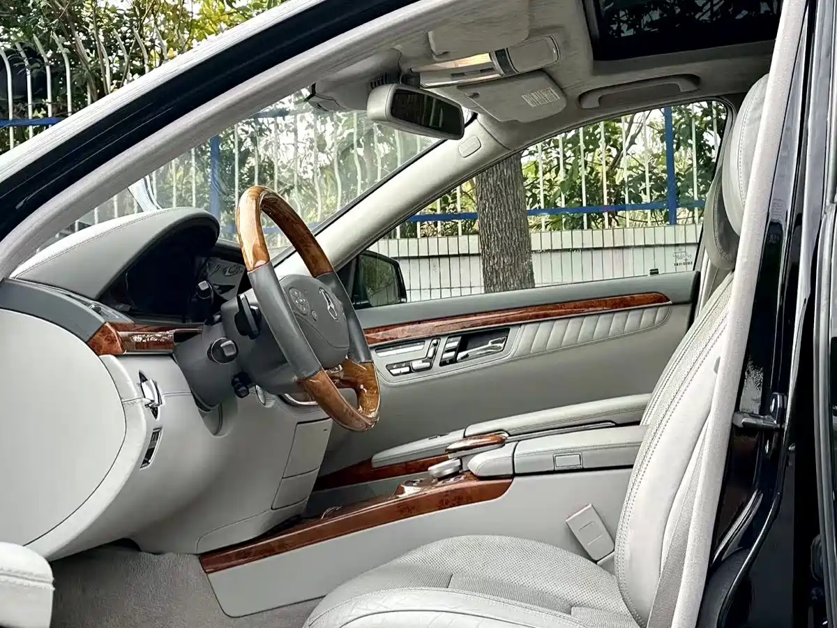 Mercedes-Benz S-Class 2010 S 600 L фото 19