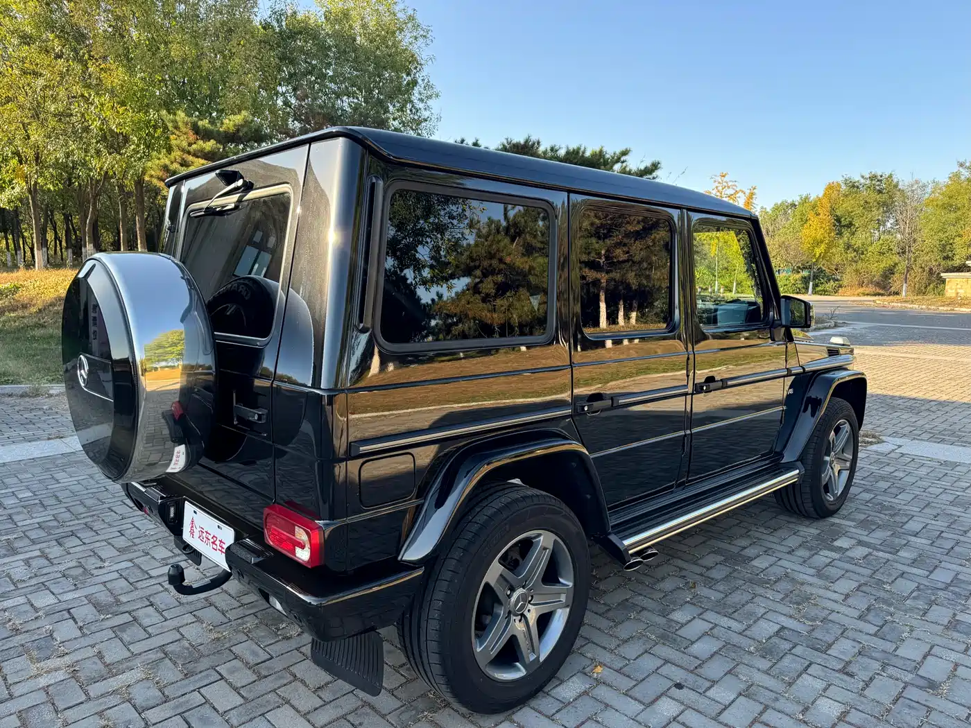Mercedes-Benz G-Class 2016 G 500 фото 9