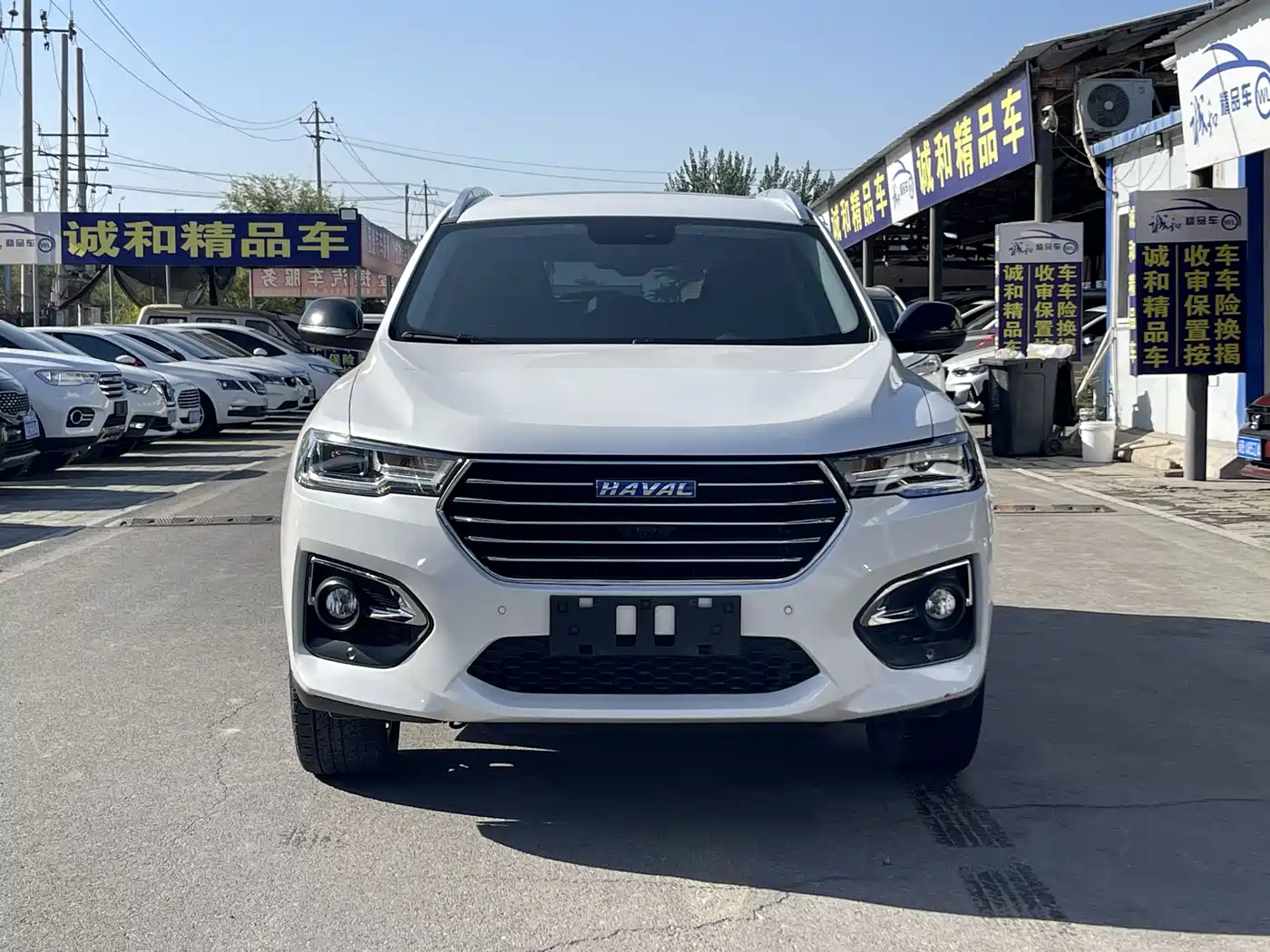 Haval H6 2018 Blue Label 1.5T Automatic Luxury фото 2