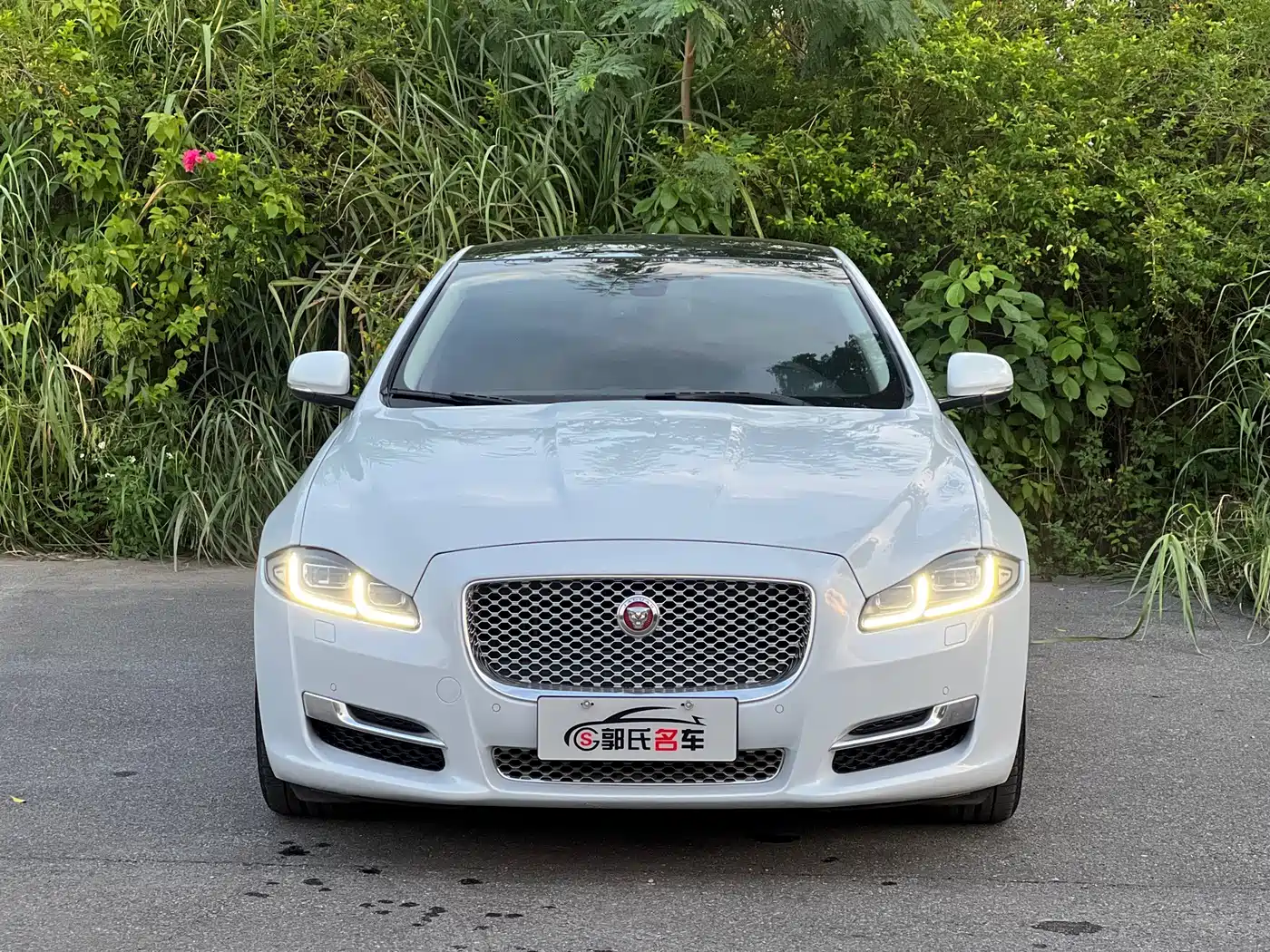Jaguar XJ 2016 2016 XJL 3.0 SC 2WD Elegance Business Edition
