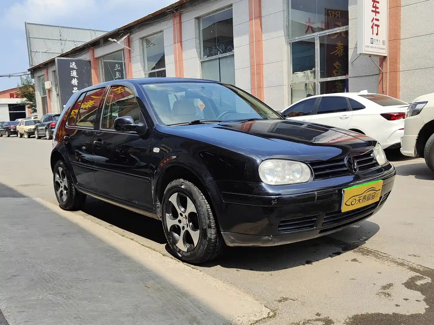 Volkswagen Golf 2008 2008 1.6 Manual Color Edition