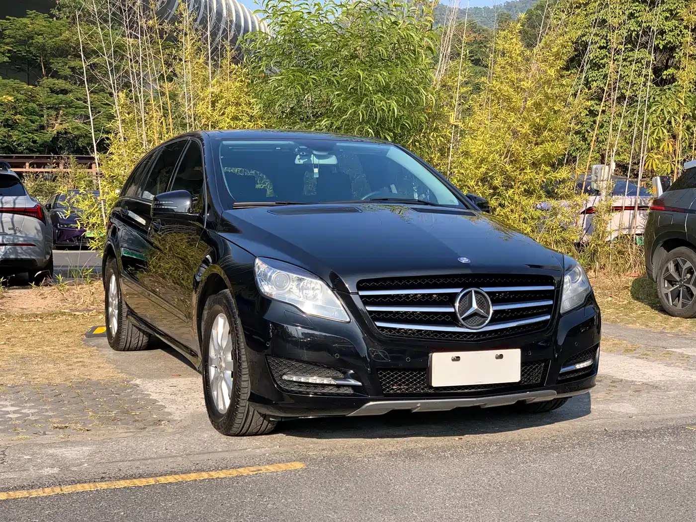 Mercedes-Benz R-Class 2014 R 320 4MATIC Business фото 3