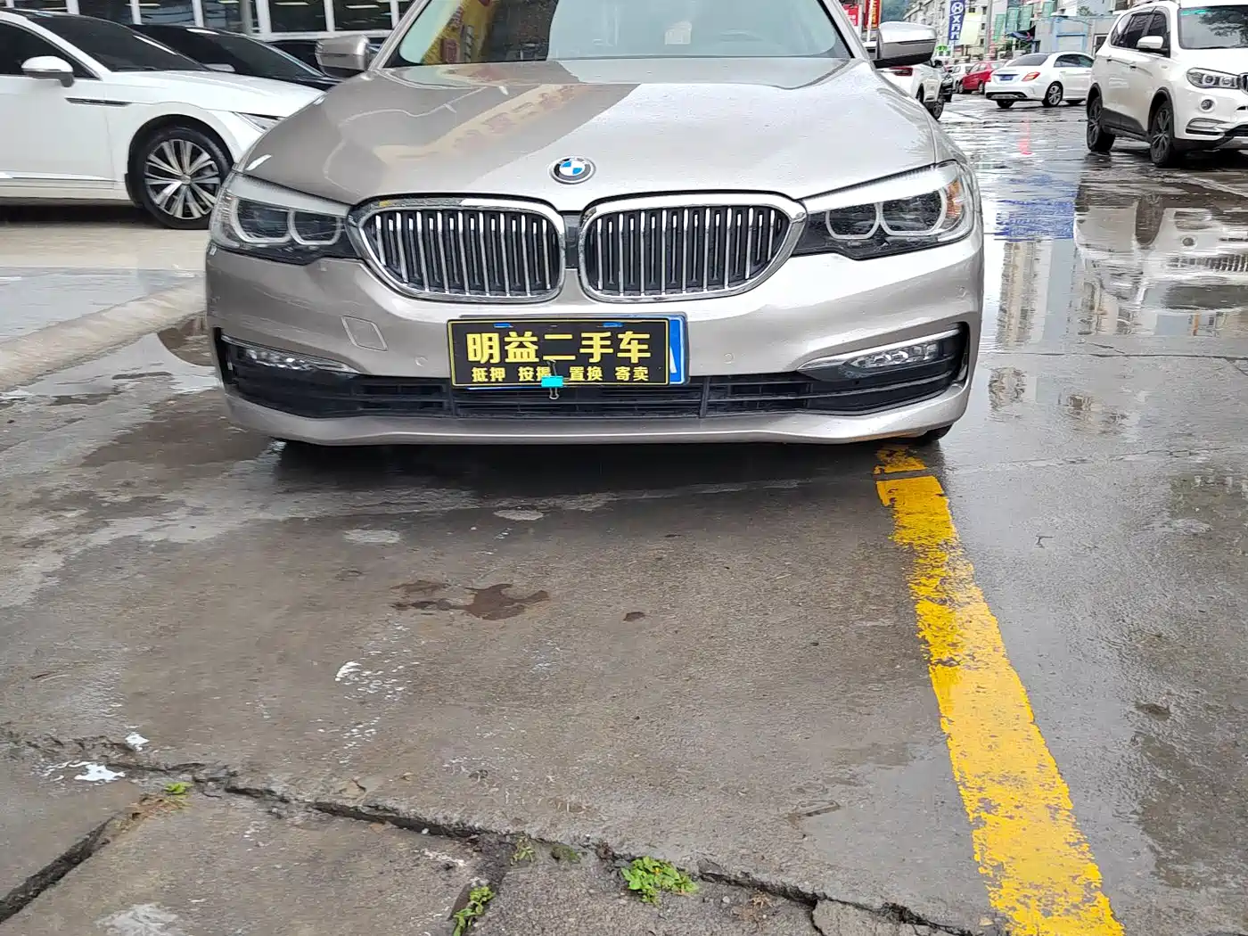 BMW 5 Series 2018 528Li Launch Special Edition