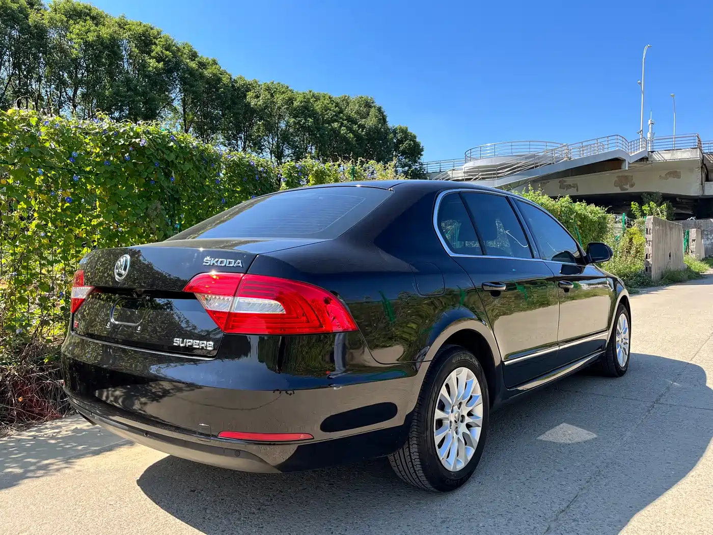 Škoda Superb 2013 1.8TSI Automatic Elite Edition фото 6