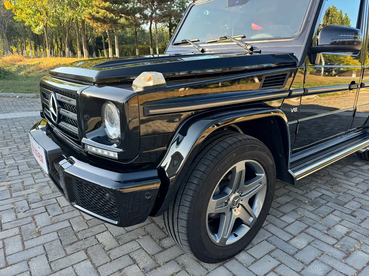 Mercedes-Benz G-Class 2016 G 500 фото 5