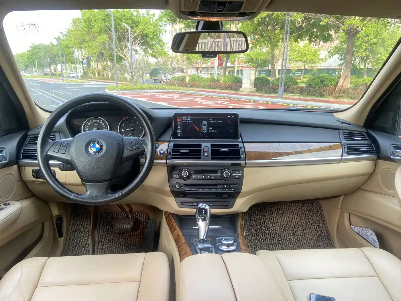 BMW X5 (Import) 2009 xDrive30i Luxury фото 9