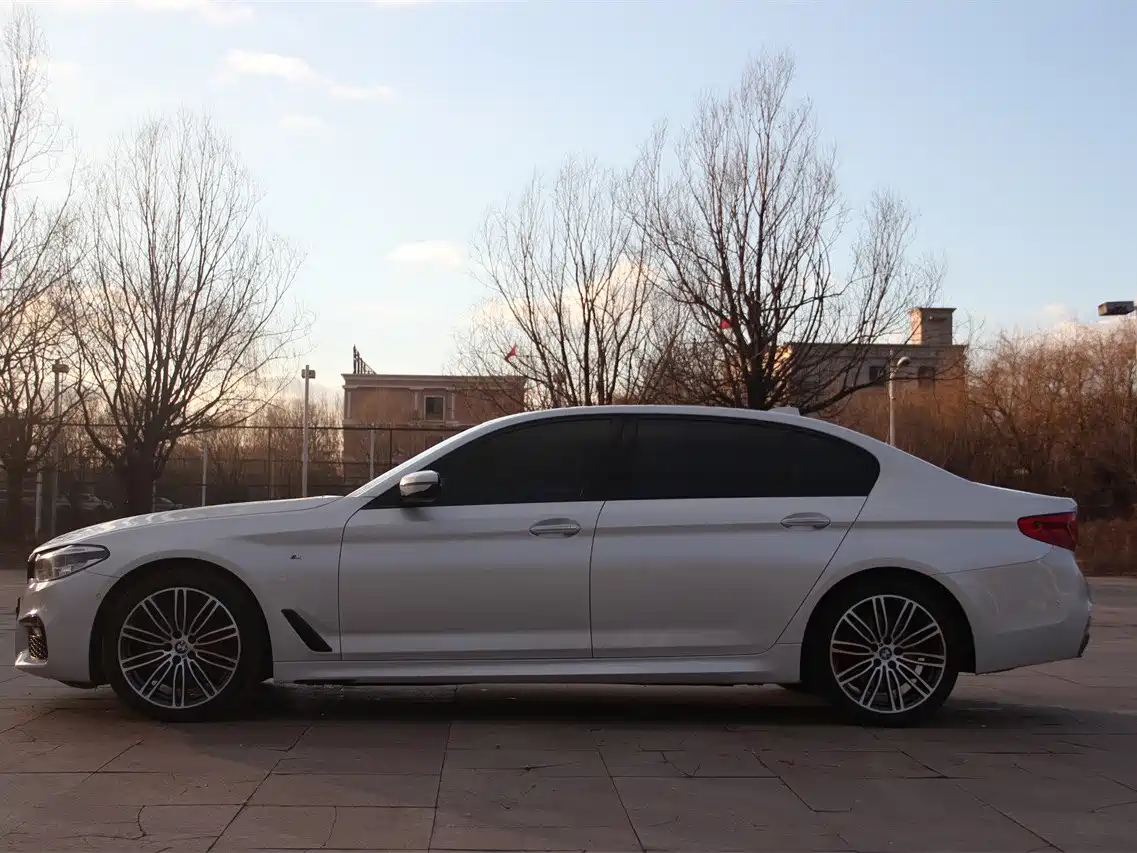 BMW 5 Series 2018 530Li Leading M Sport Package фото 13