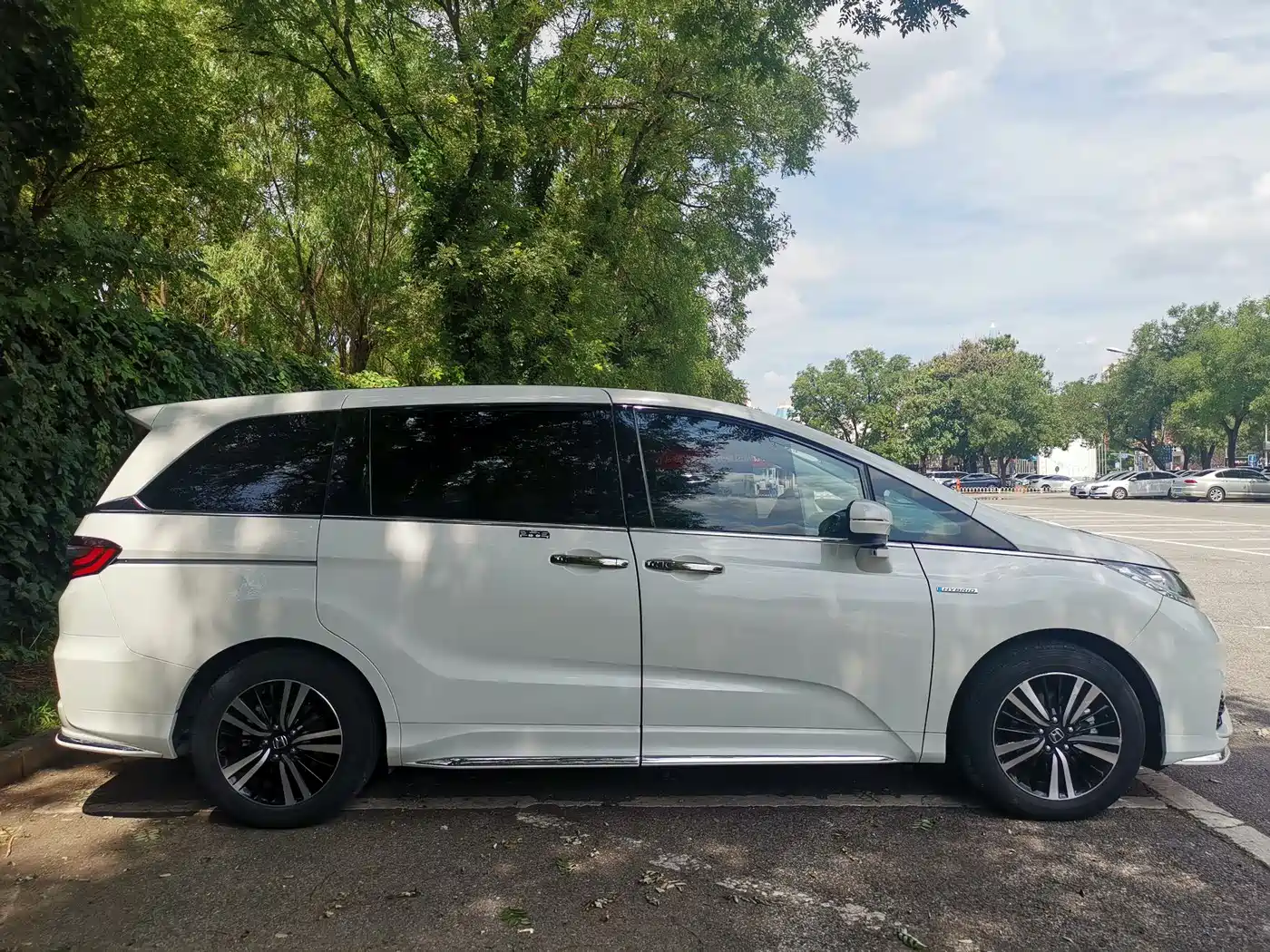 HONDA ODYSSEY