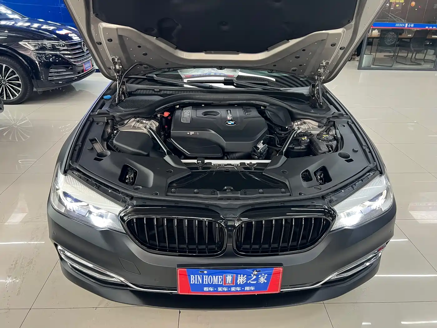 BMW 5 Series 2018 530Li Leading Luxury Package фото 37