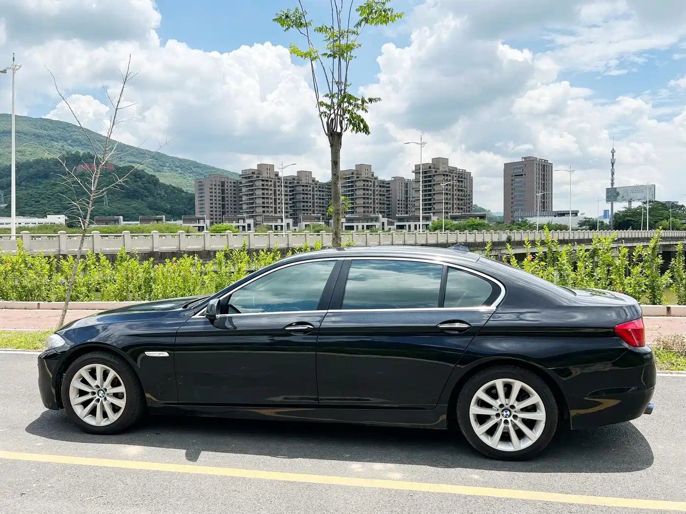 BMW 5 Series 2012 535Li Luxury фото 10