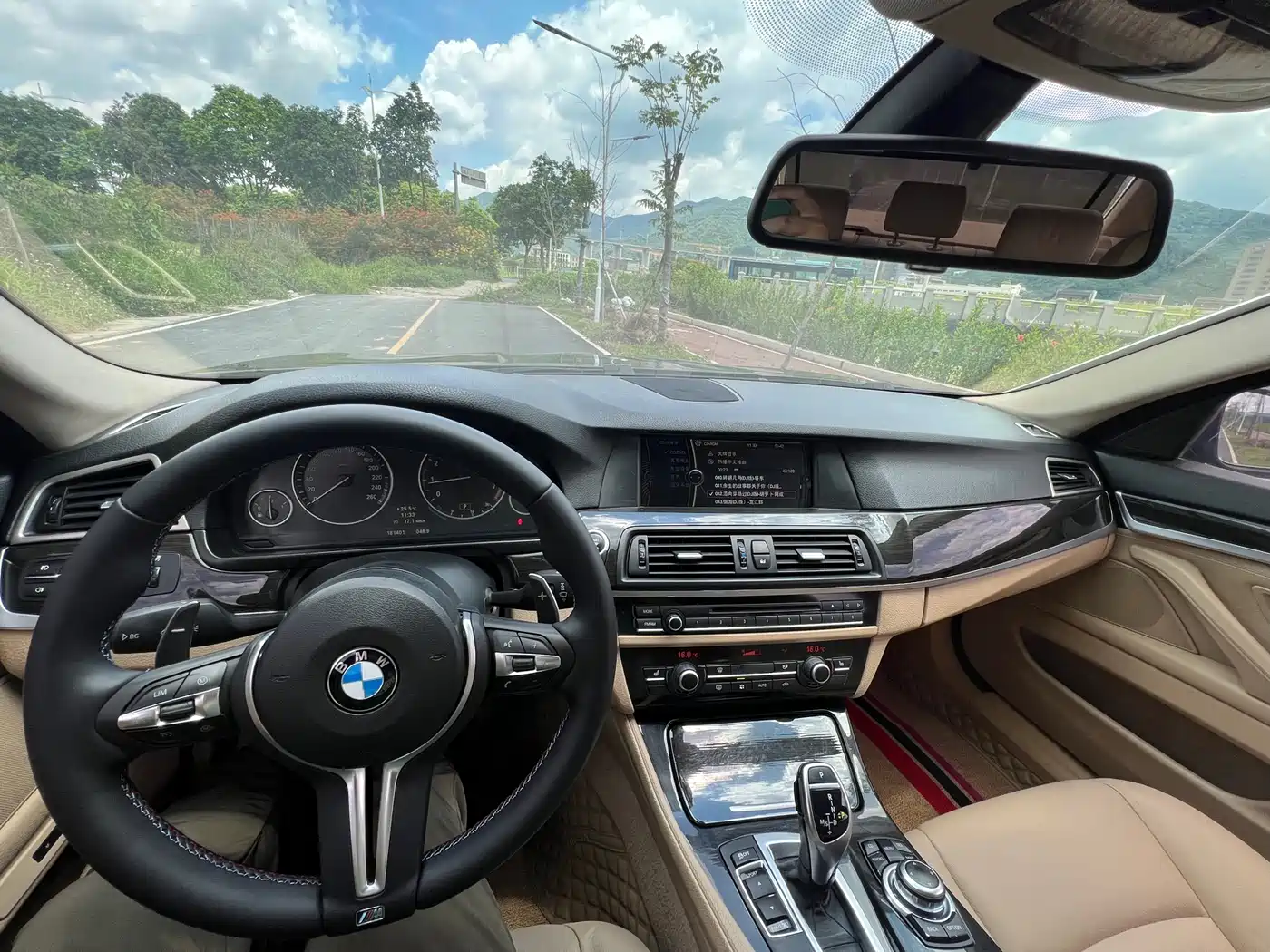 BMW 5 Series 2012 535Li Luxury фото 25