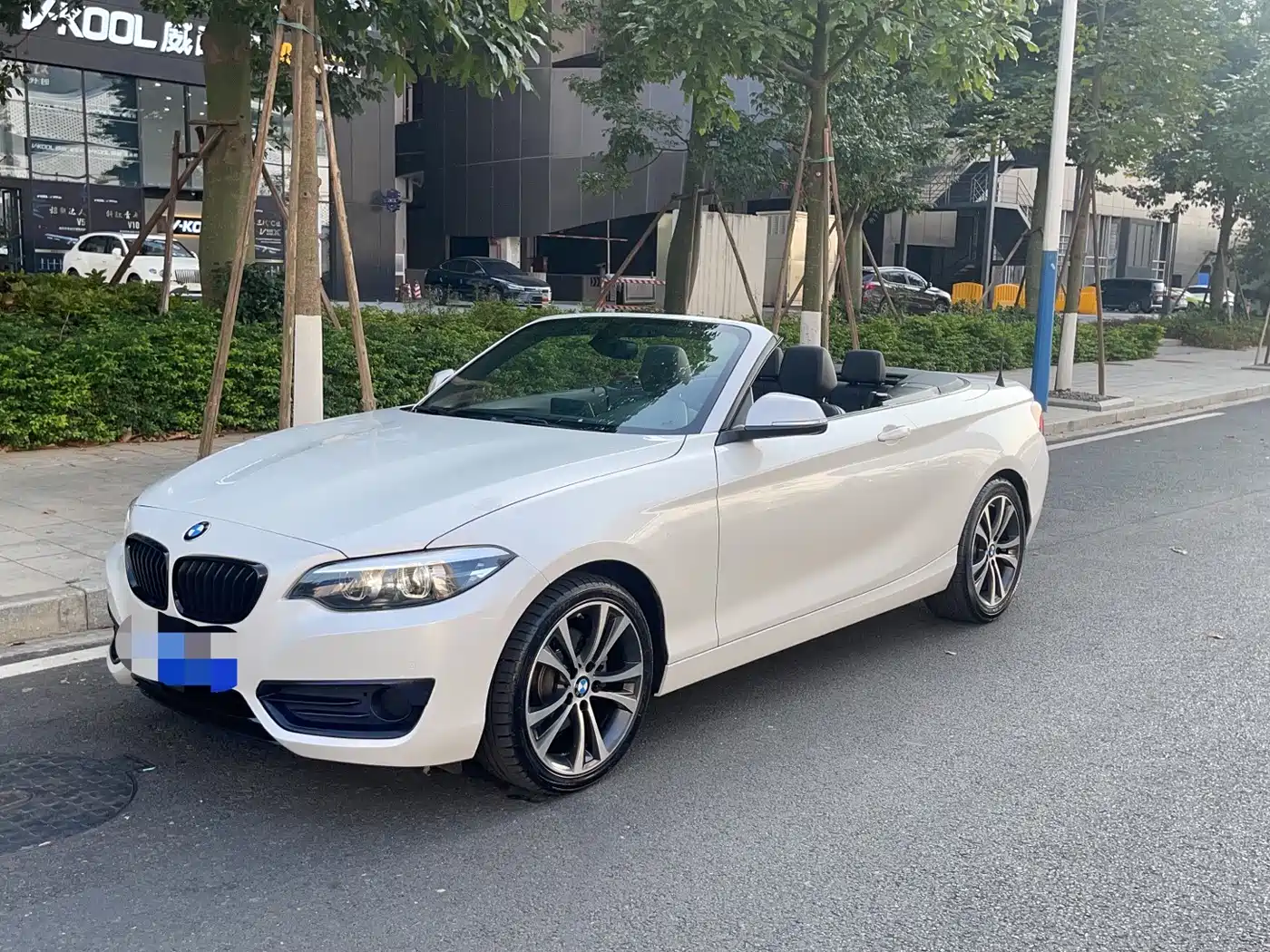 BMW 2 Series (Import) 2019 225i Convertible Coupe Sport Design Package