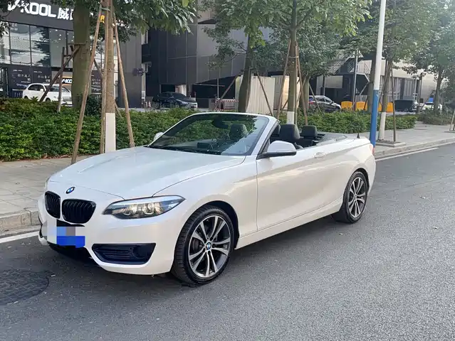 BMW 2 Series (Import) 2019 225i Convertible Coupe Sport Design Package
