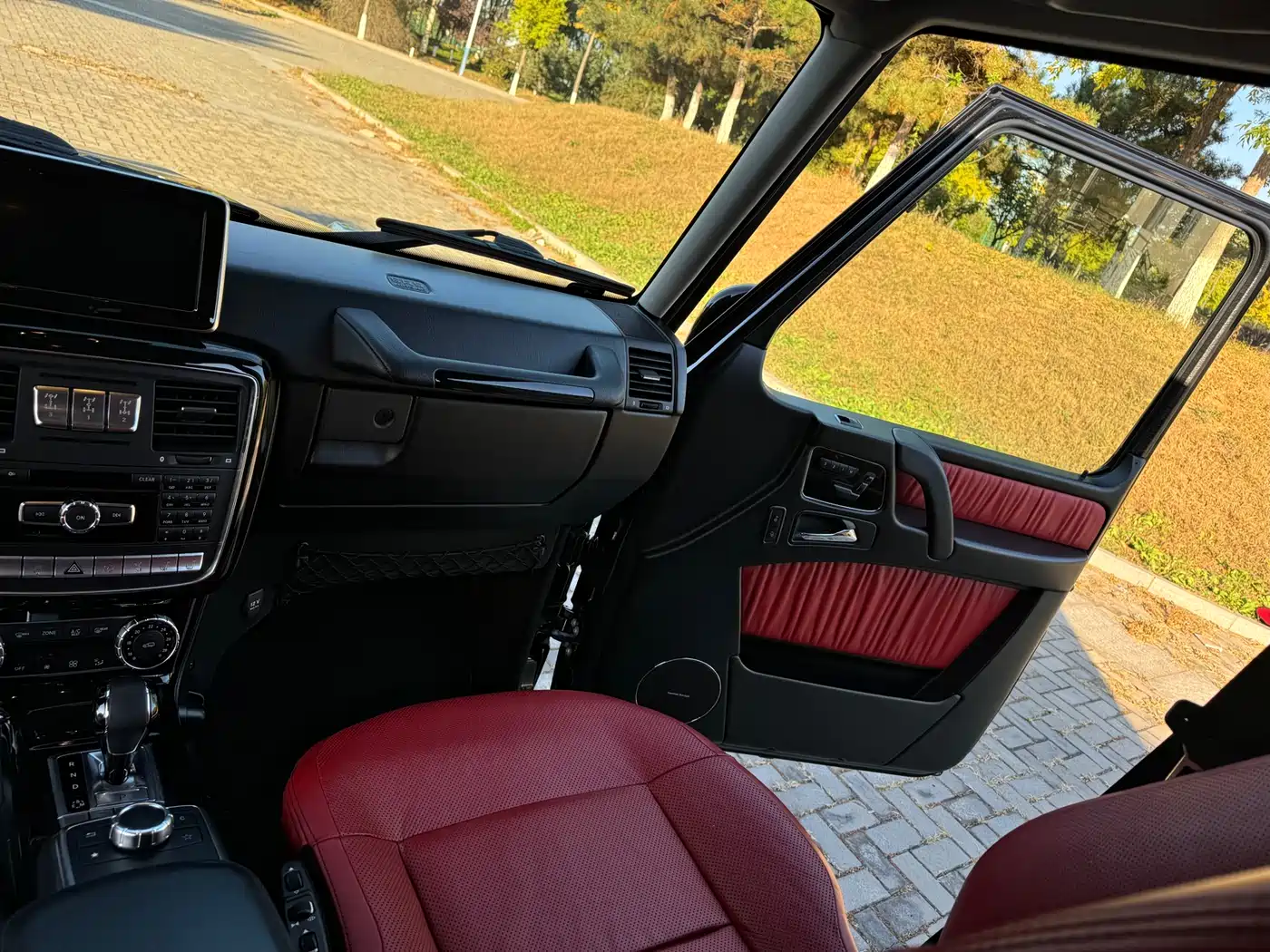 Mercedes-Benz G-Class 2016 G 500 фото 24