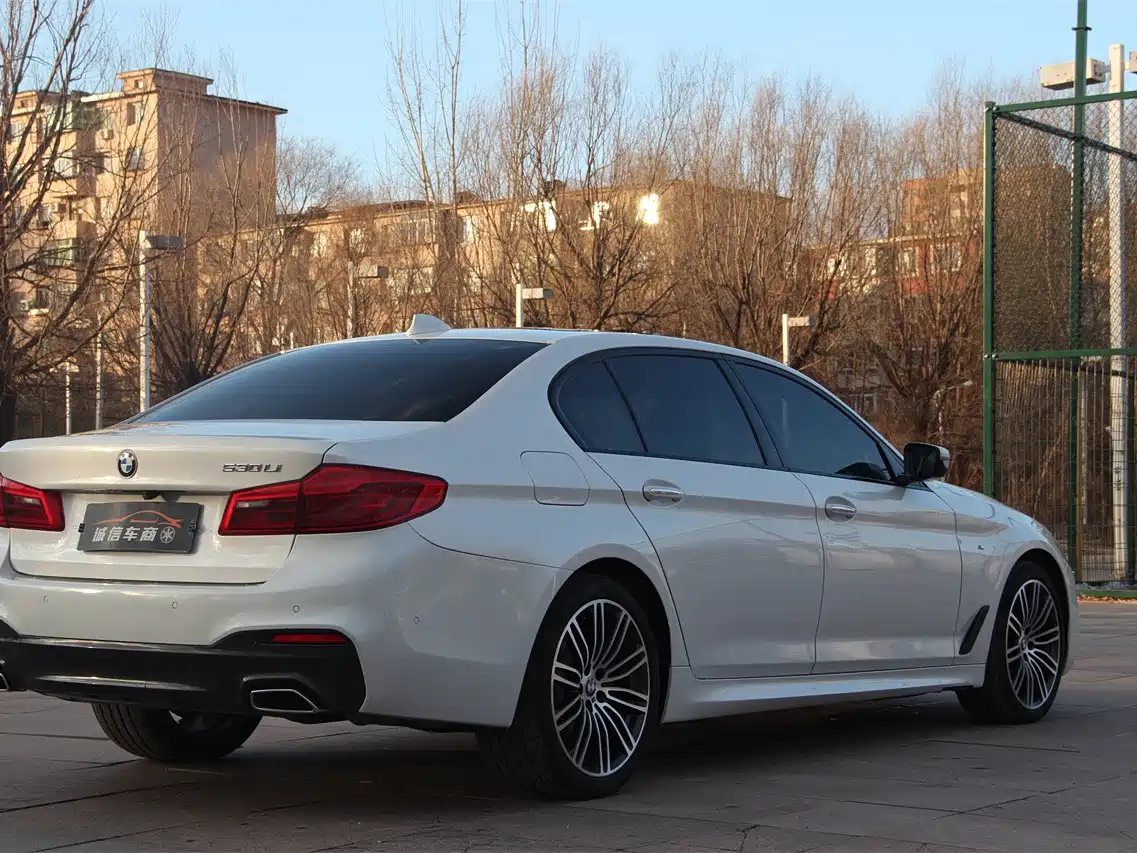 BMW 5 Series 2018 530Li Leading M Sport Package фото 7