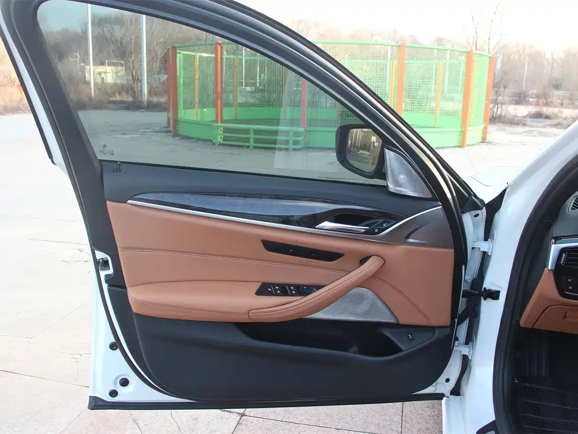 BMW 5 Series 2018 530Li Leading M Sport Package фото 12