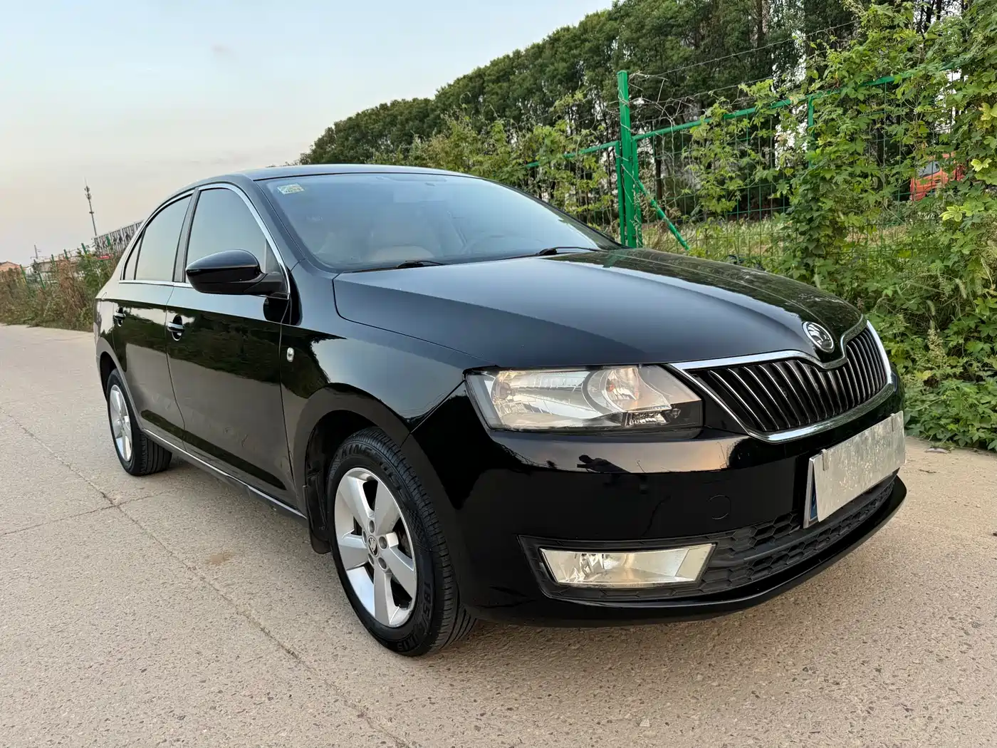 Škoda Rapid 2013 1.6L Automatic Preferred фото 2