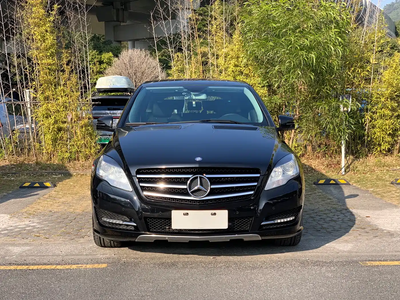 Mercedes-Benz R-Class 2014 R 320 4MATIC Business фото 2