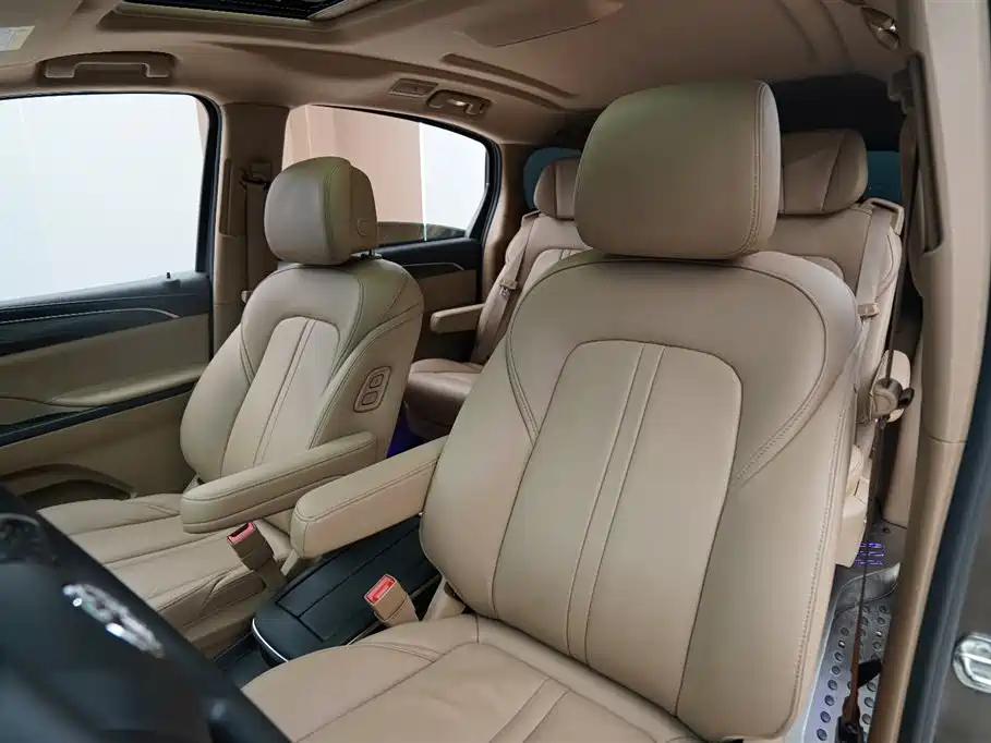 Buick GL8 2021 ES Landlord 653T Premium фото 4