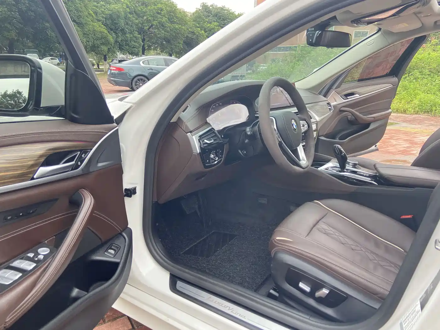 BMW 5 Series 2019 Facelift 530Li Leading Luxury Package фото 8