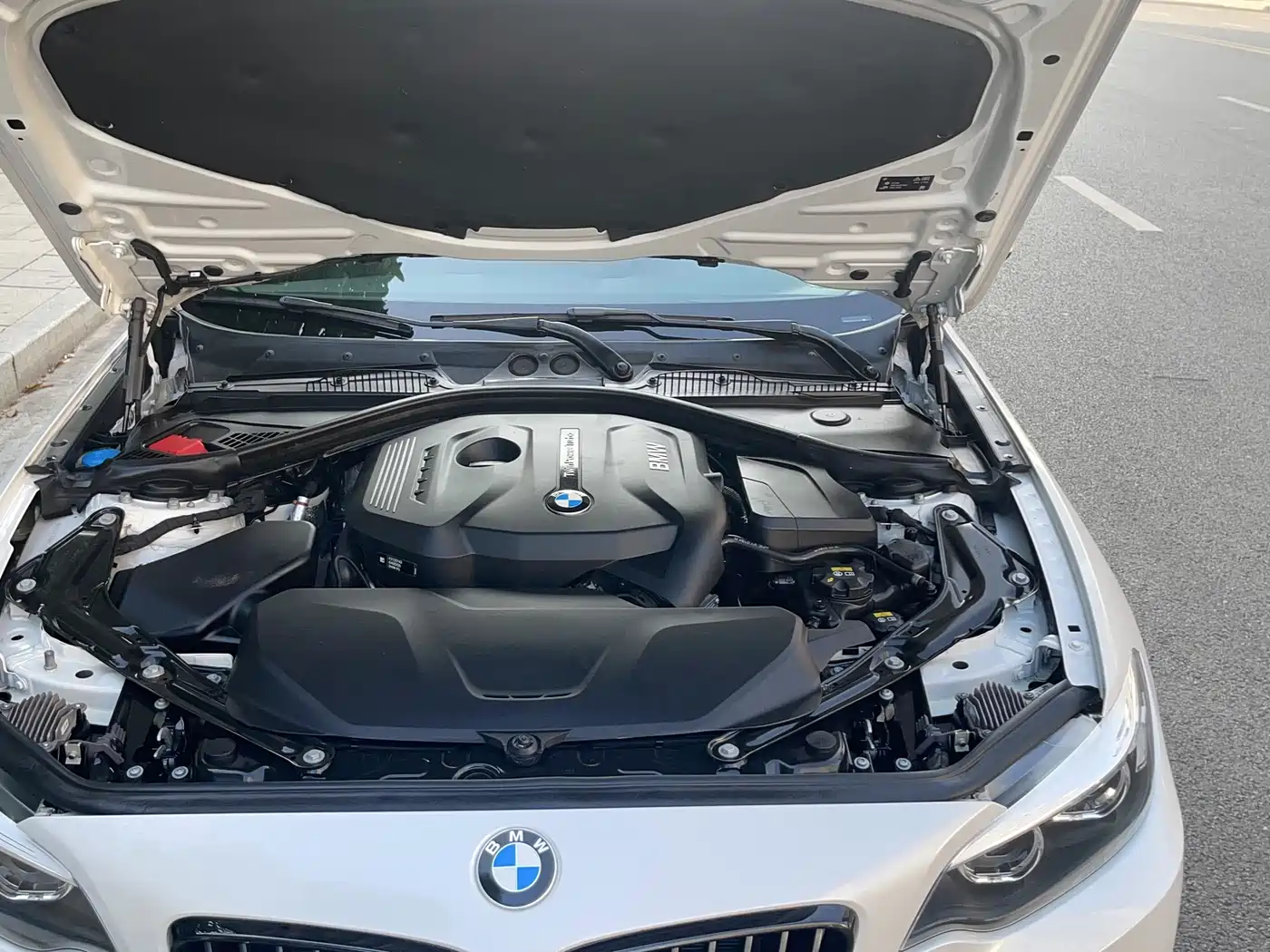 BMW 2 Series (Import) 2019 225i Convertible Coupe Sport Design Package фото 5