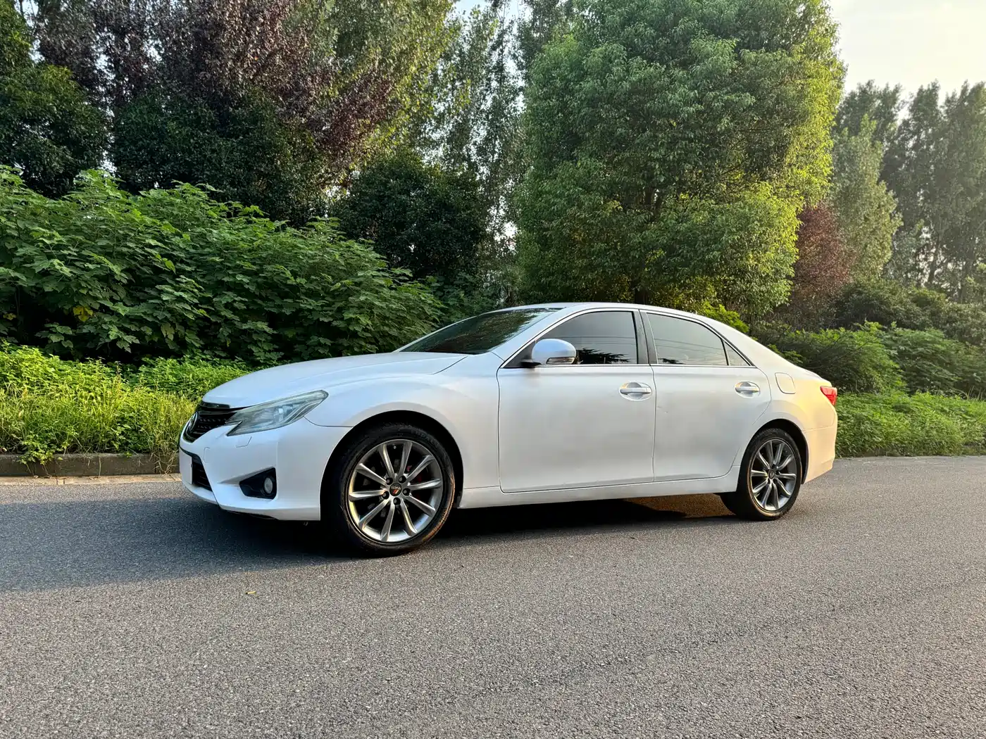 Toyota Reiz 2013 2.5S Elite Edition фото 3