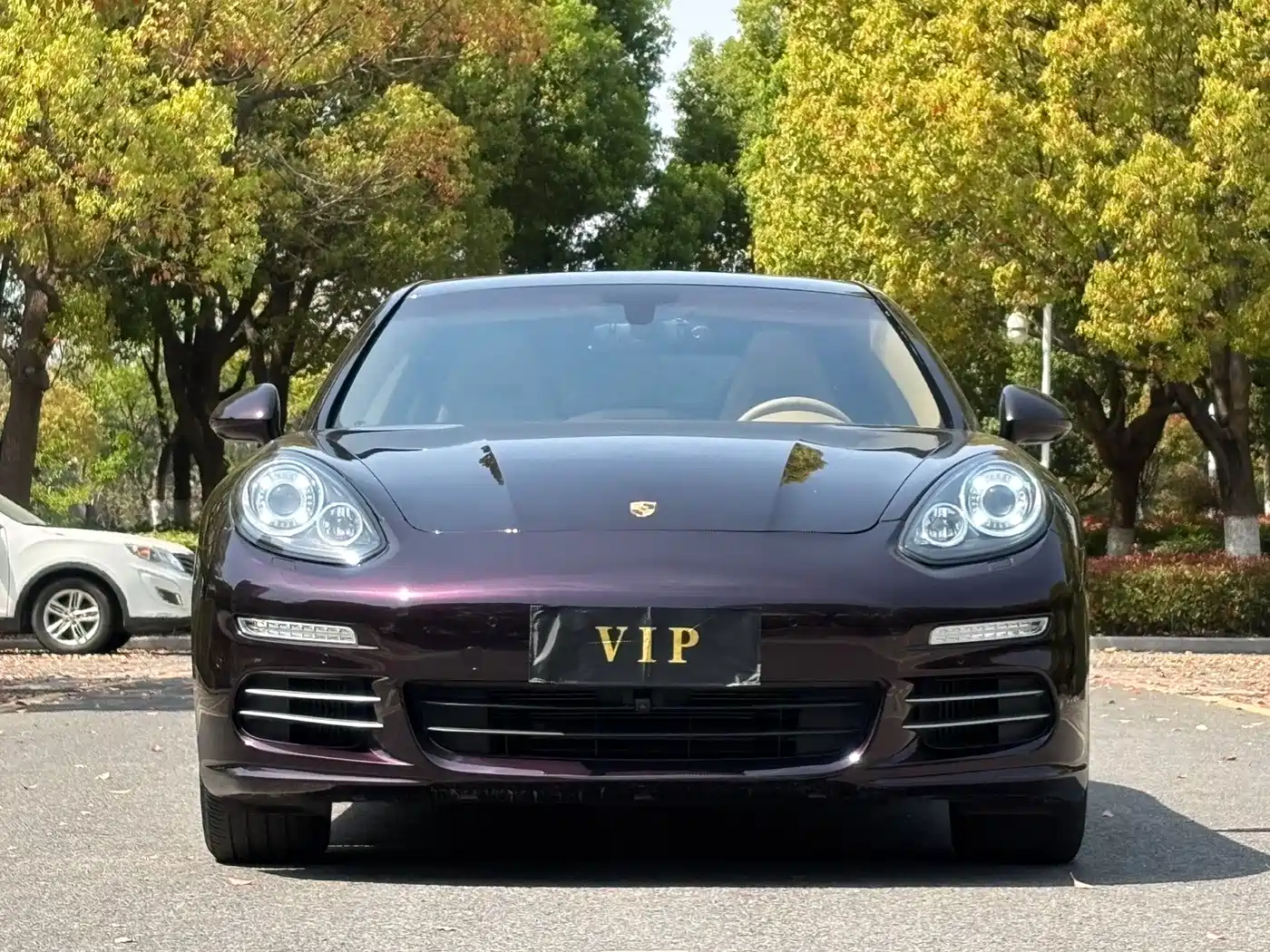Porsche Panamera 2014 Panamera 4 3.0T фото 2