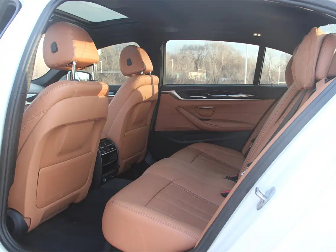BMW 5 Series 2018 530Li Leading M Sport Package фото 5