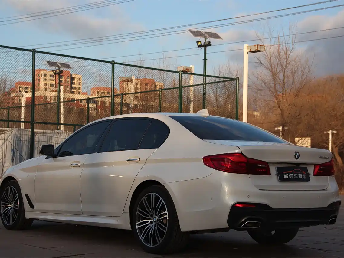 BMW 5 Series 2018 530Li Leading M Sport Package фото 9