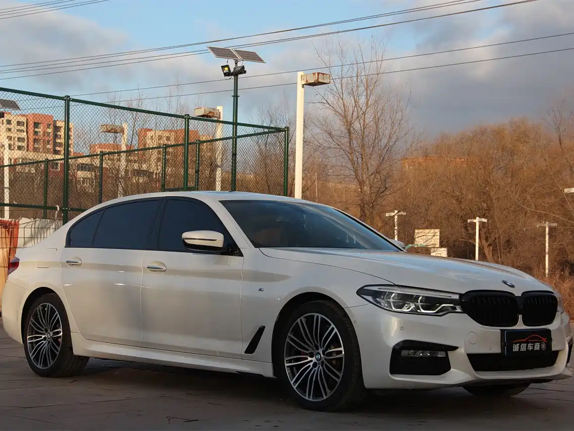 BMW 5 Series 2018 530Li Leading M Sport Package фото 3