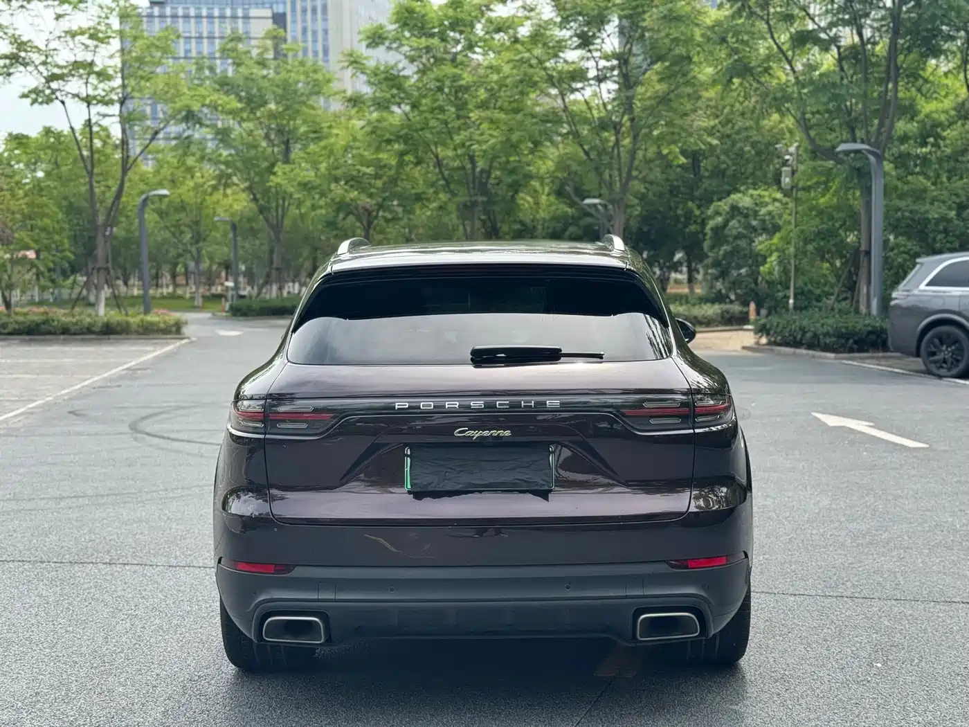 PORSCHE CAYENNE NEW ENERGY