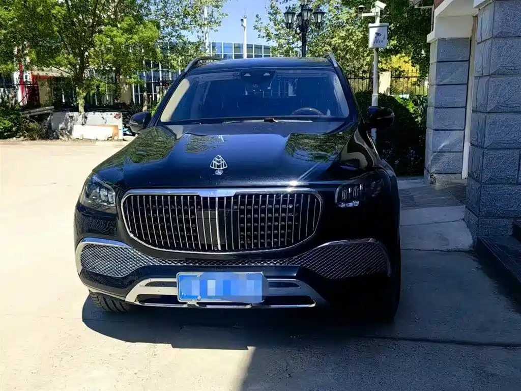 Mercedes-Benz Maybach GLS 2021 GLS 480 4MATIC фото 3