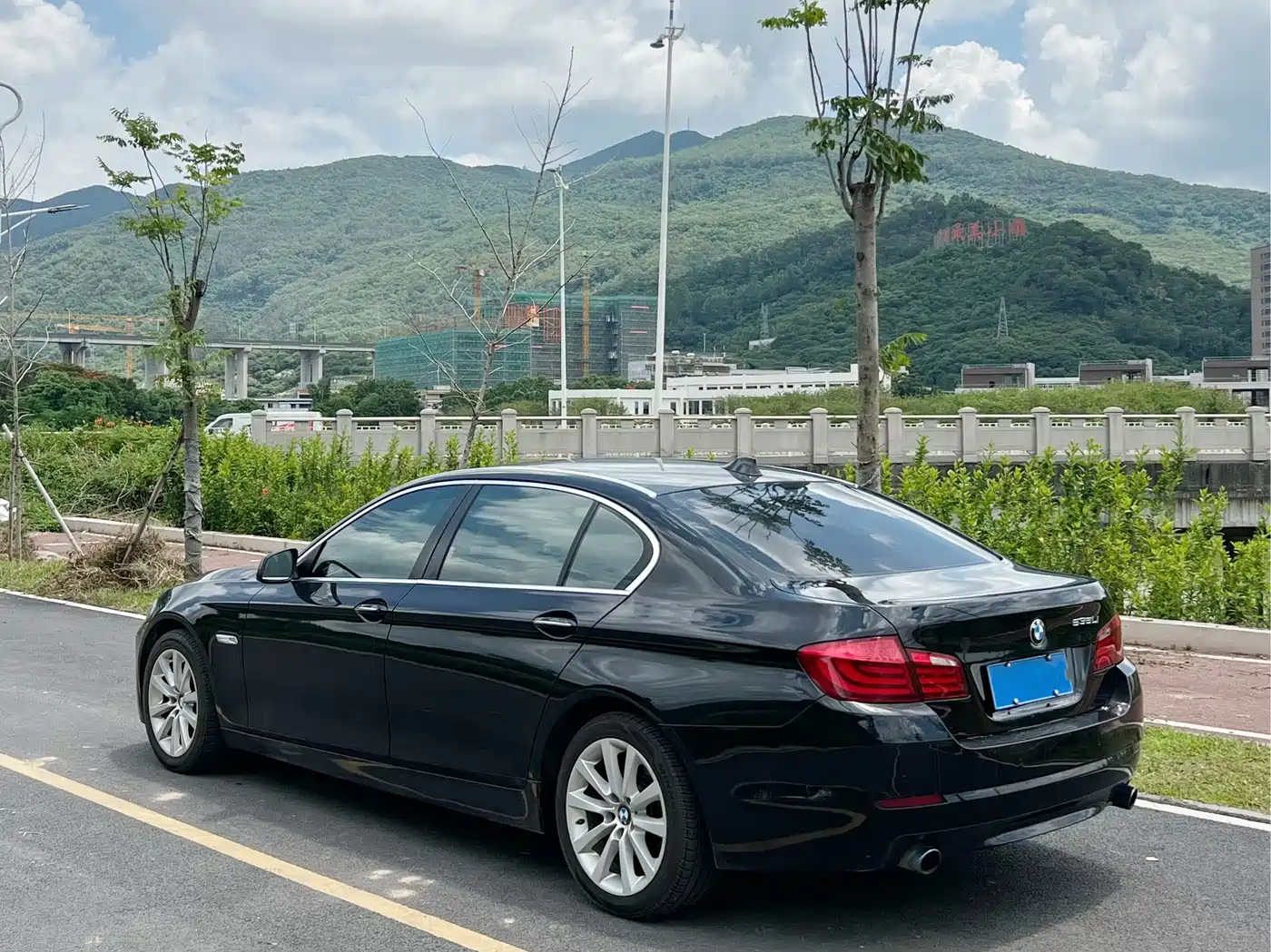 BMW 5 Series 2012 535Li Luxury фото 13