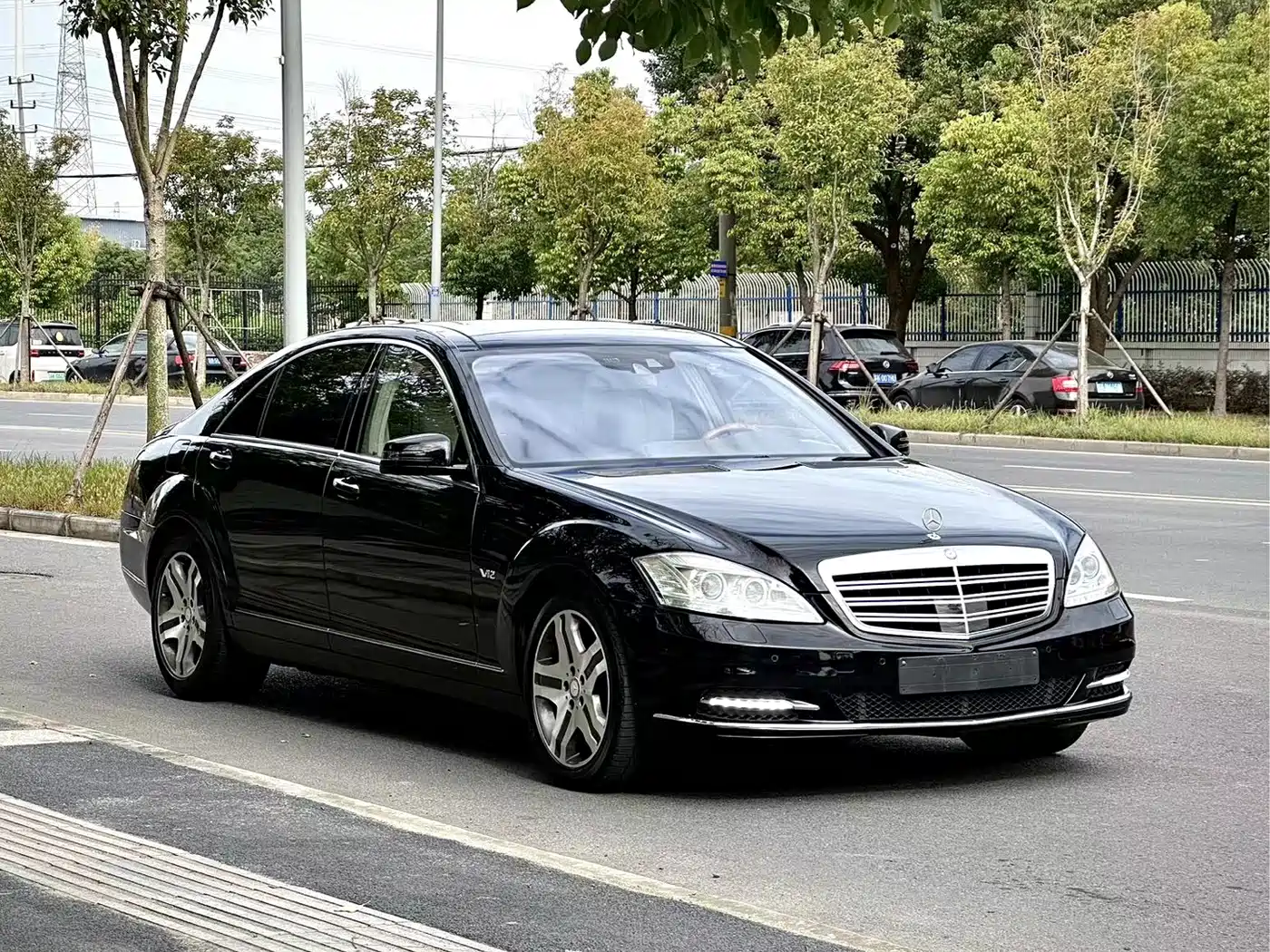 Mercedes-Benz S-Class 2010 S 600 L фото 6