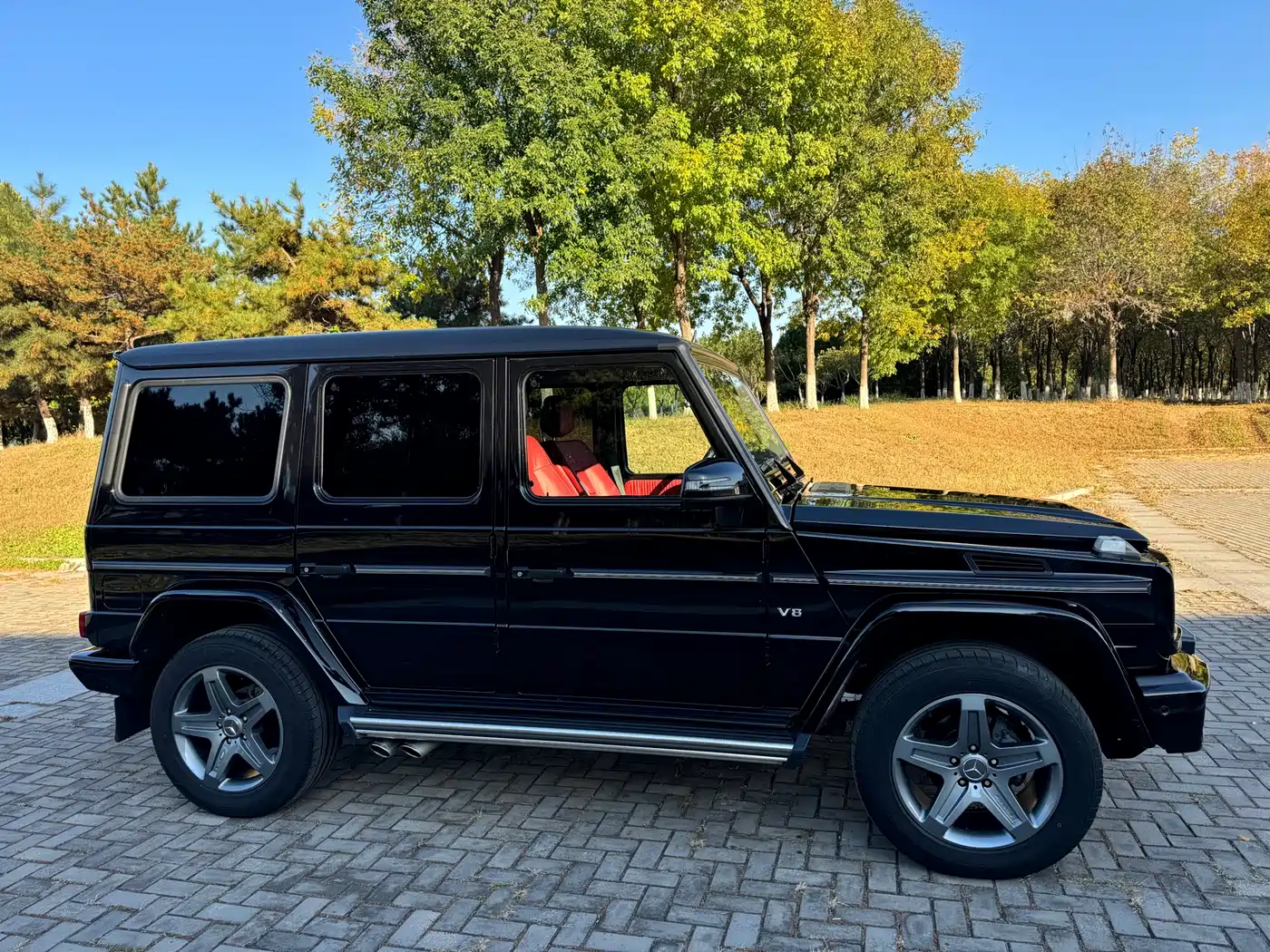 Mercedes-Benz G-Class 2016 G 500 фото 6