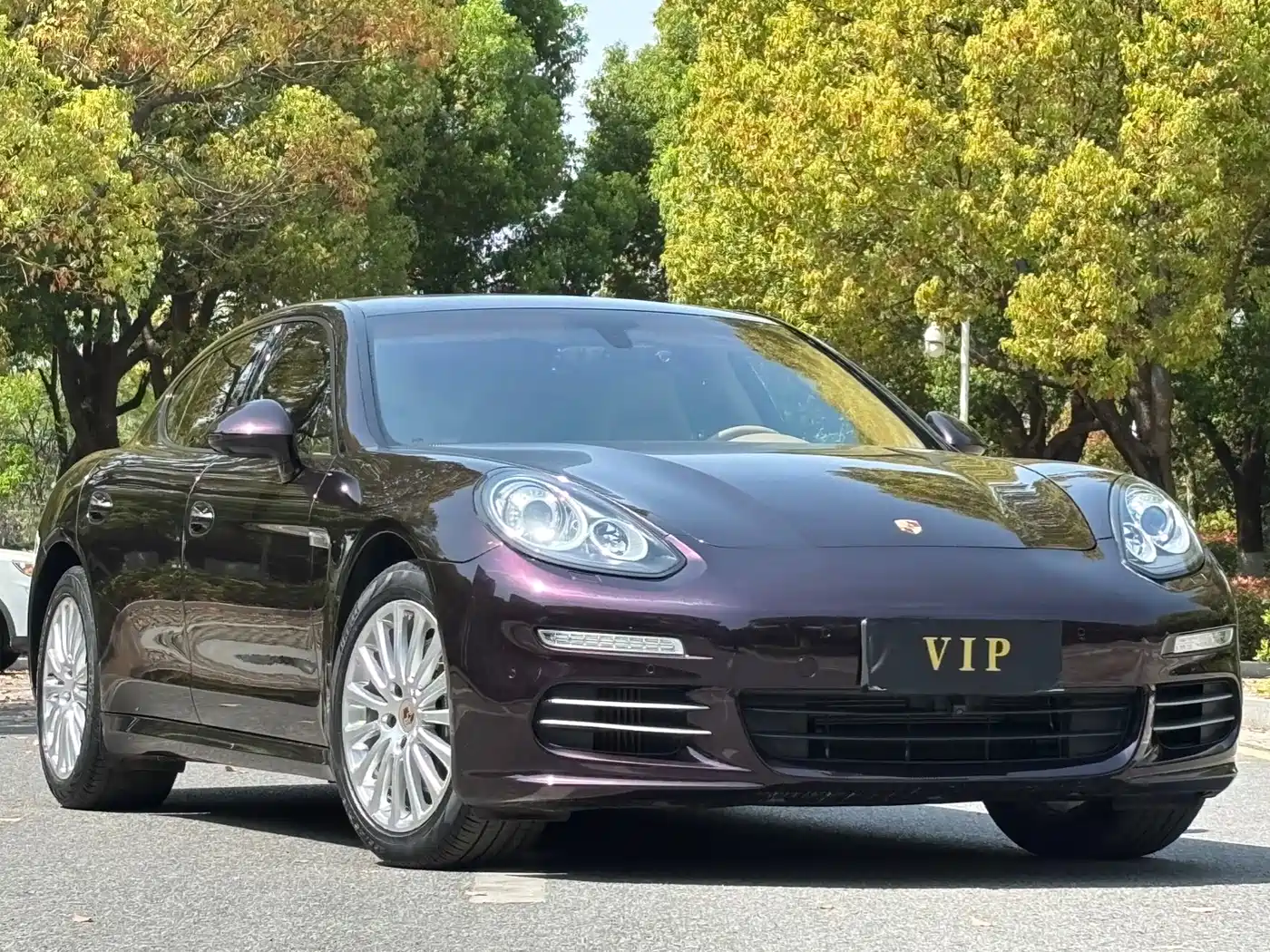 Porsche Panamera 2014 Panamera 4 3.0T фото 3