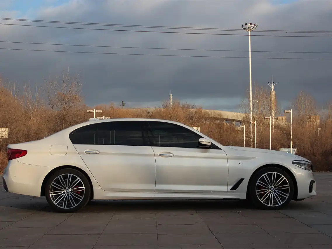 BMW 5 Series 2018 530Li Leading M Sport Package фото 17