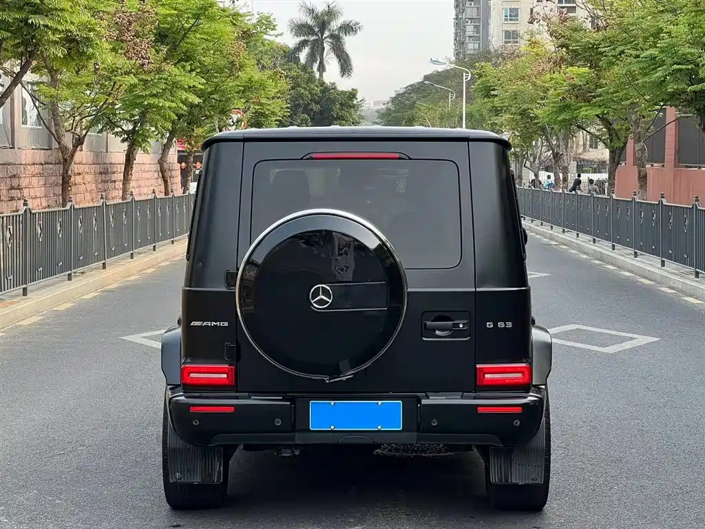 Mercedes-Benz G-Class 2020 G 350 фото 3