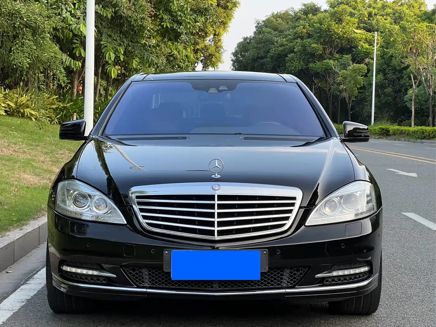 Mercedes-Benz S-Class 2010 S 350 L Luxury фото 2