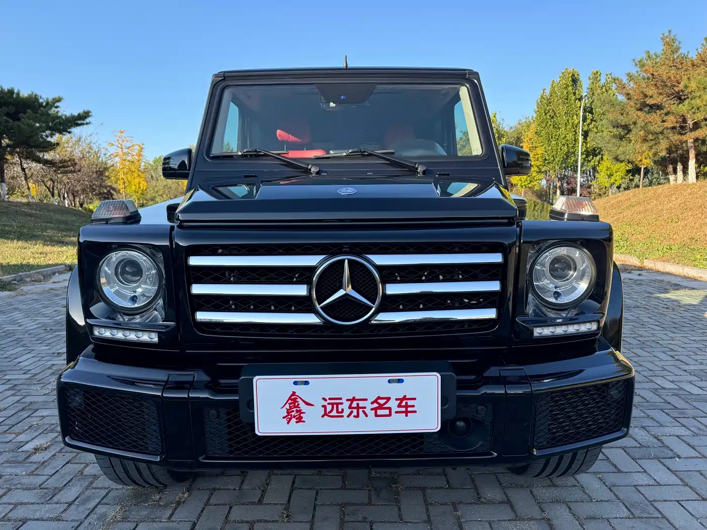 Mercedes-Benz G-Class 2016 G 500 фото 4