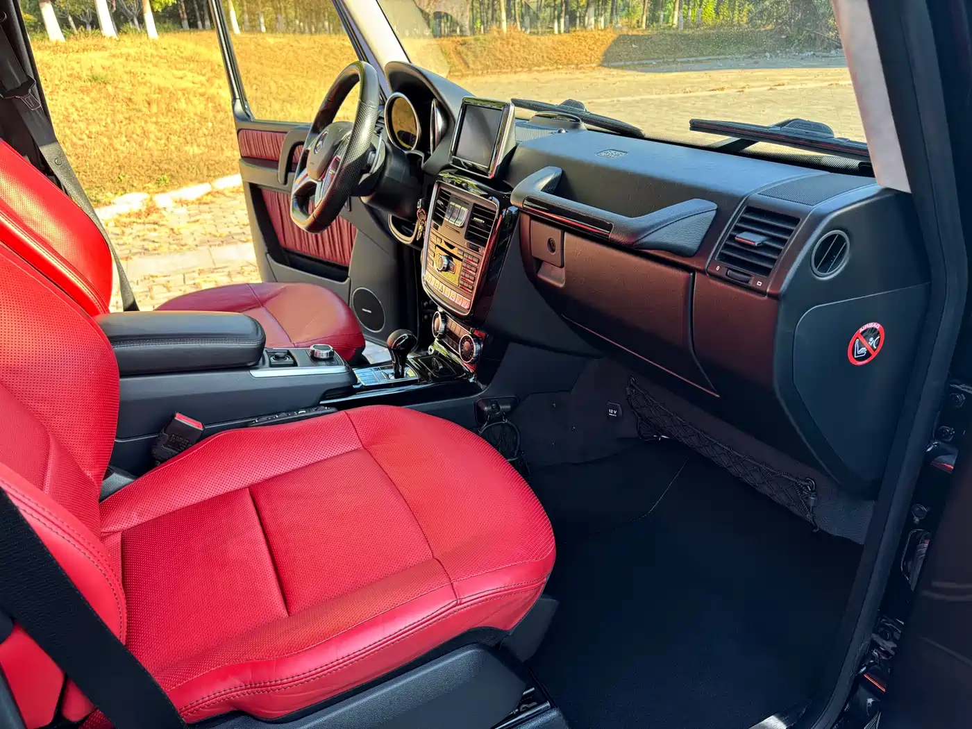 Mercedes-Benz G-Class 2016 G 500 фото 13