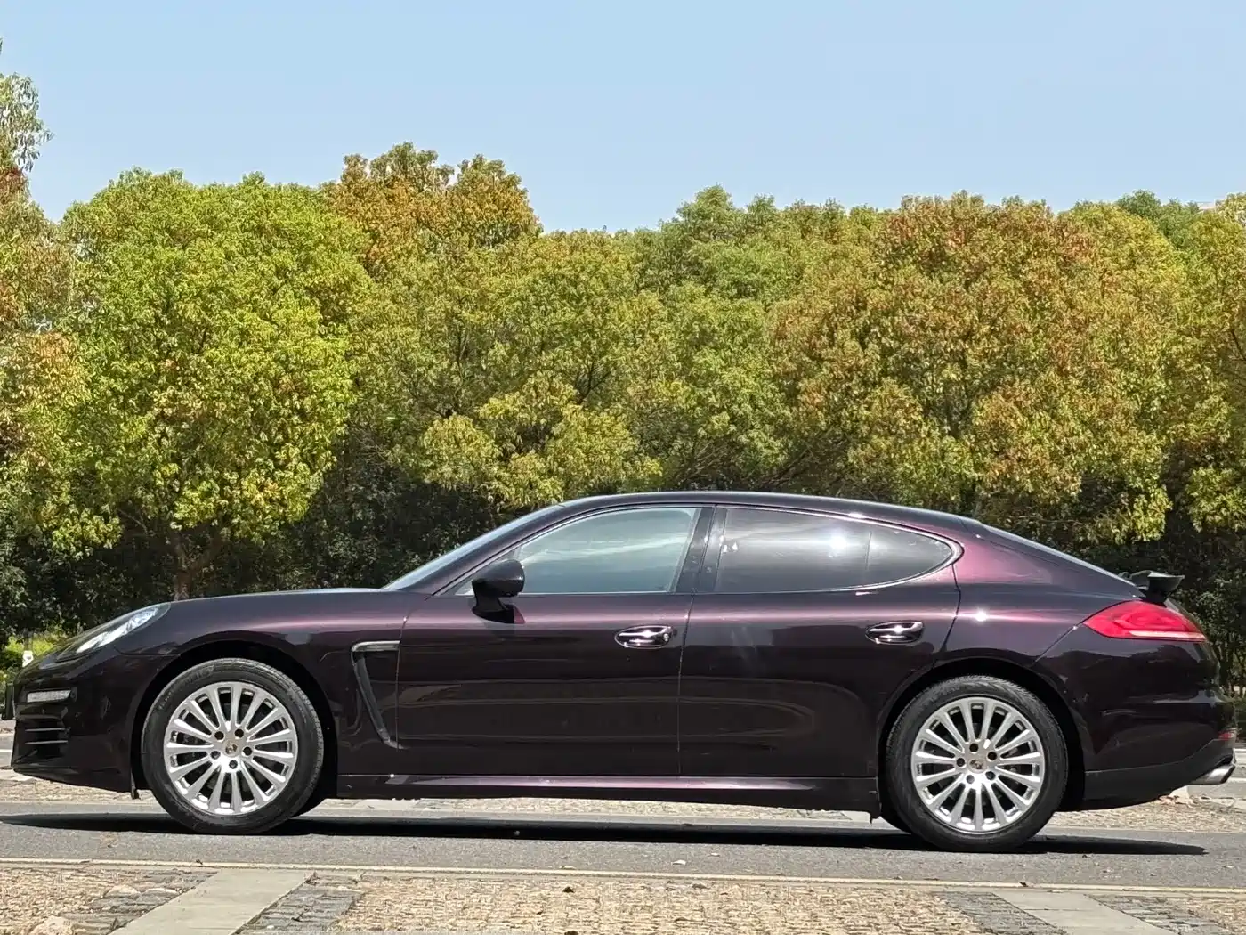 Porsche Panamera 2014 Panamera 4 3.0T фото 6